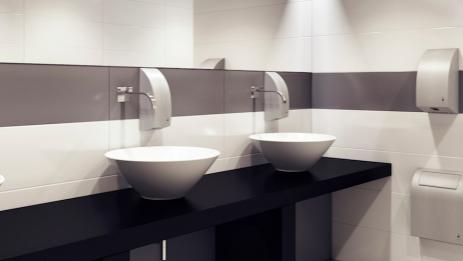 Dansk viking på franska biograftoaletter